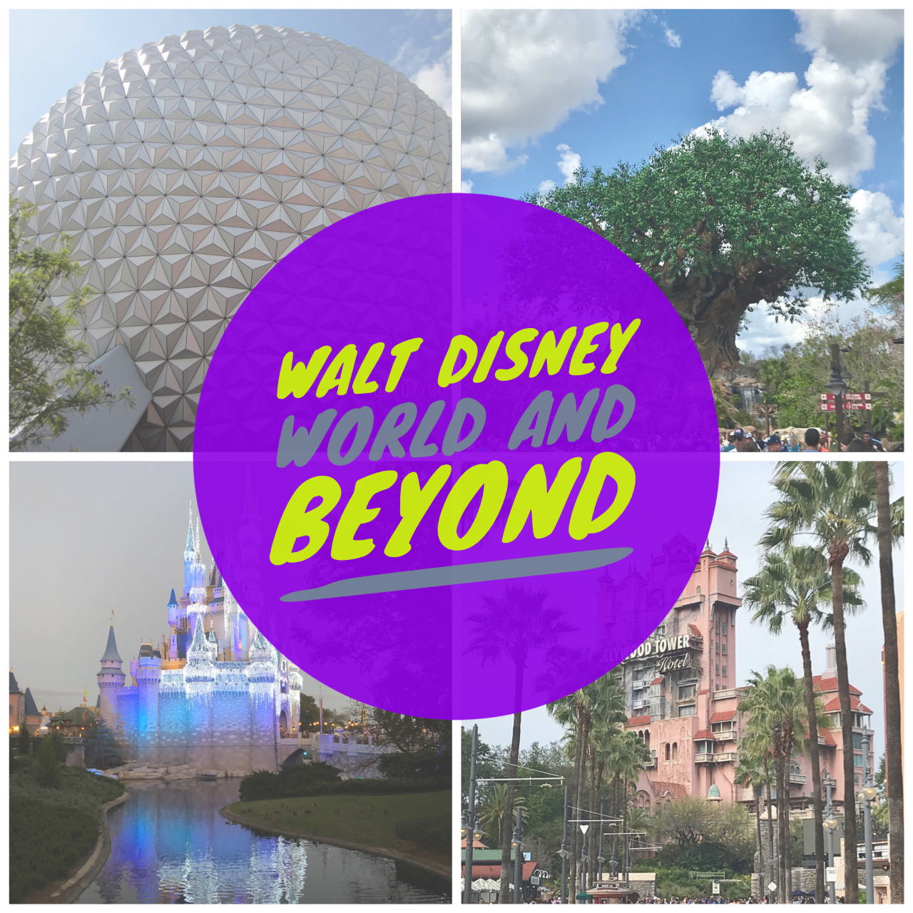 Things To Do Beyond the Disney Theme Parks