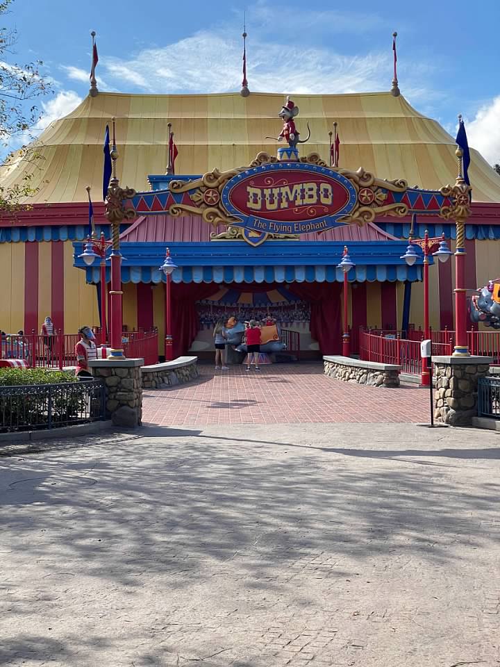 Magic Kingdom by age group- Dumbo the Flying Elephant 