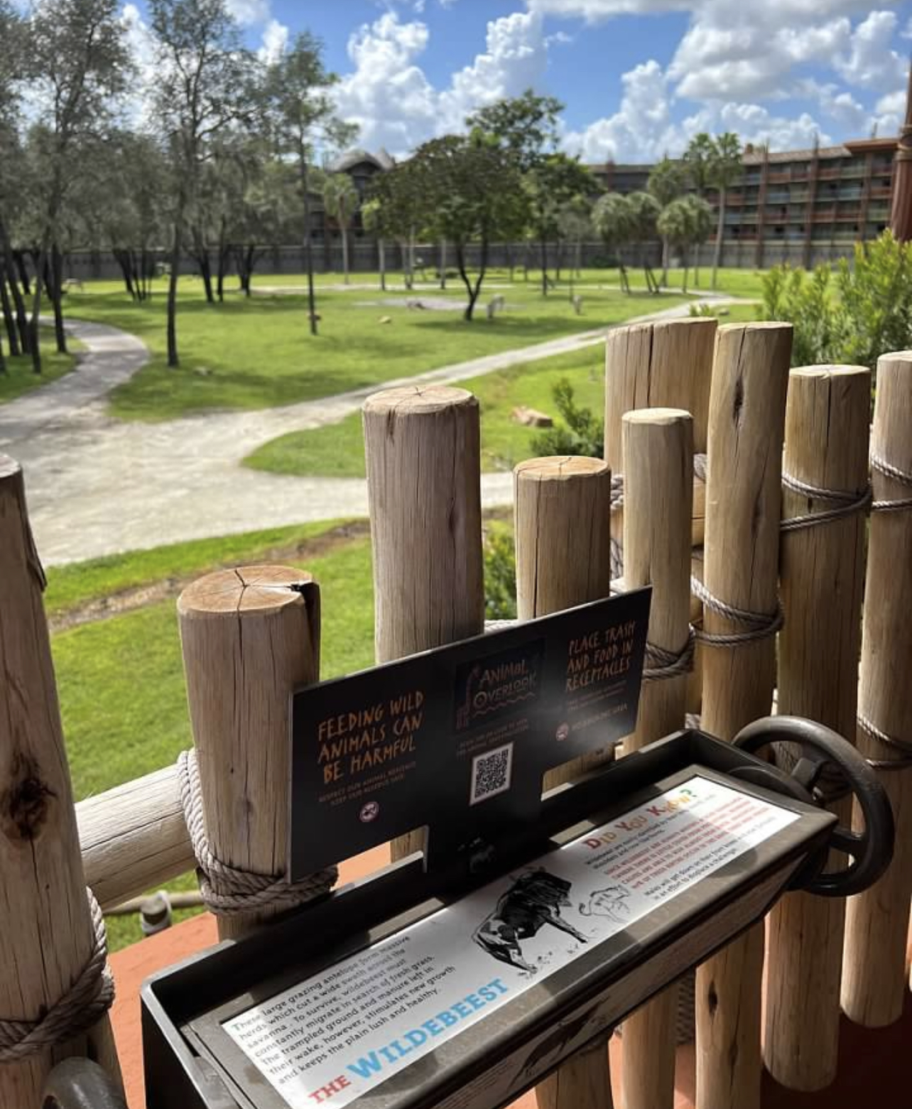 Savannah view at Disney's Animal Kingdom Lodge